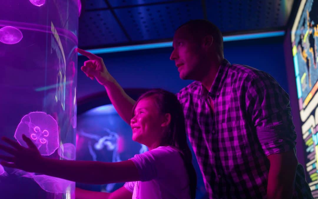 Aquarium of Niagara — Case Study