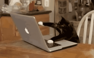 I Am an Art Director and I Love Spreadsheets
